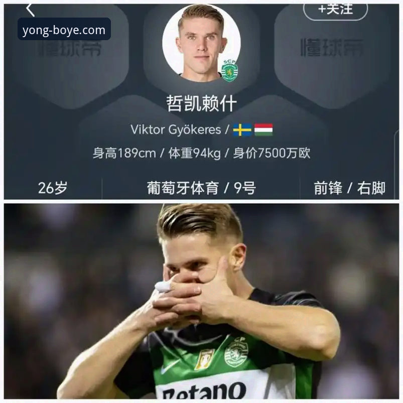 博业体育中国功能详解 资深用户分享:哲凯赖什20球里程碑,在博业体育平台追踪赛事数据的实战经验